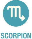 Scorpion