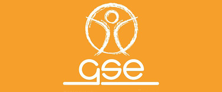 Logo GSE Vertrieb GmbH