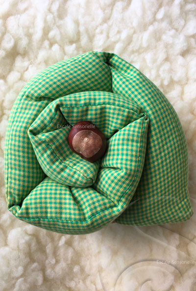 Bouillotte-verte-graine-de-colza