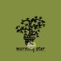 morning star nippon kodo Thé vert green tea encens