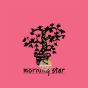 Lotus Morning star encens nippon kodo encens japonais