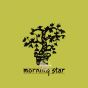 Encens pin boisé assainissant désinfectant purifiant morning star