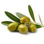 Huile d'olive vertus bienfaits utilisation savon noir Emma Noël