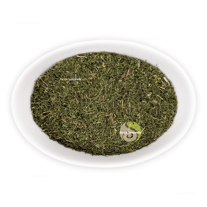 Aneth DHIL herbes aromatiques pour poissons et sauces froides
