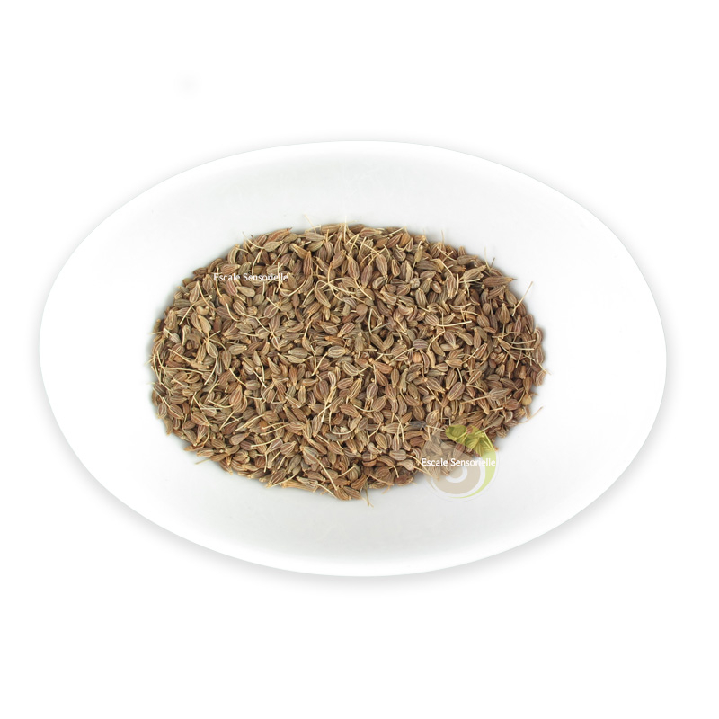 Anis vert entier digestion graines bienfaits vertus