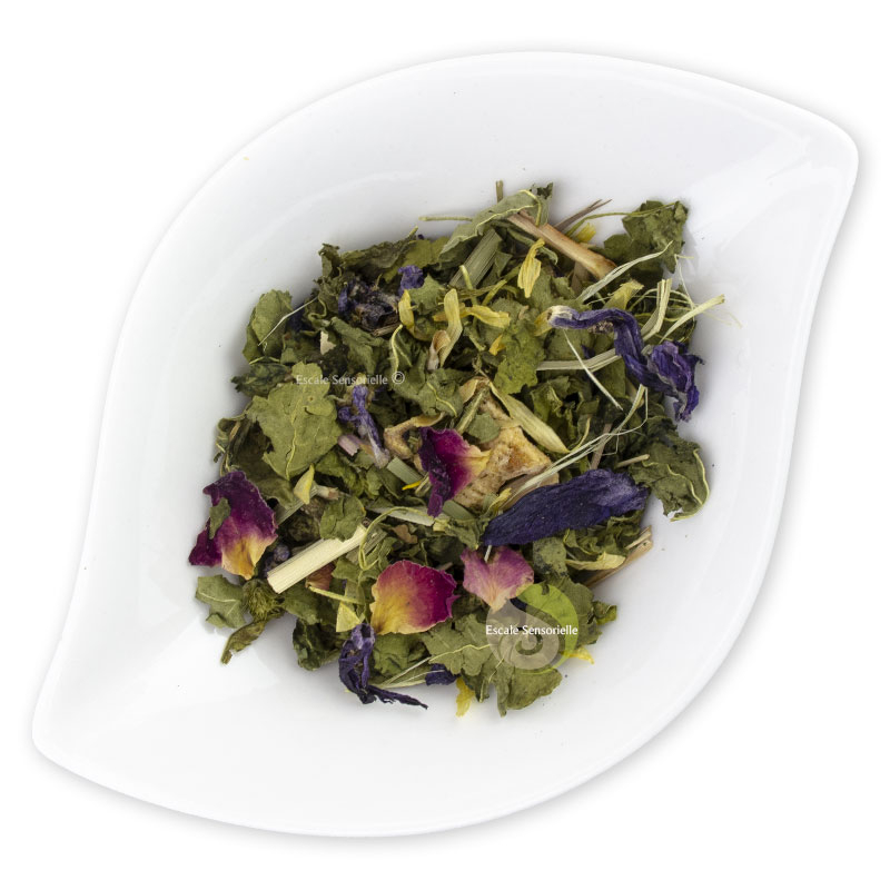 Bénédiction infusion mauve bergamote fleurs de calendula