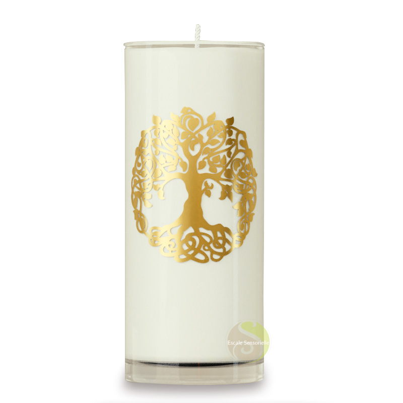 Bougie arbre de vie blanche sans parfum stéarine végétale