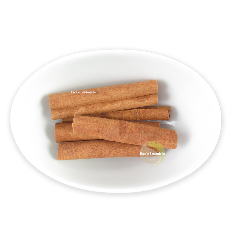 Cannelle entière bâton épices vin chaud vertus bienfaits