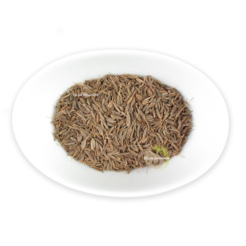 Carvi graines recette fromage épices vertus digestives bienfaits