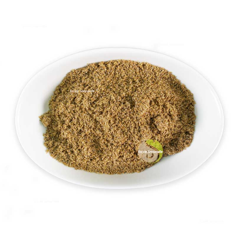 Poudre de coriandre bienfaits et vertus antioxydant pour marinade