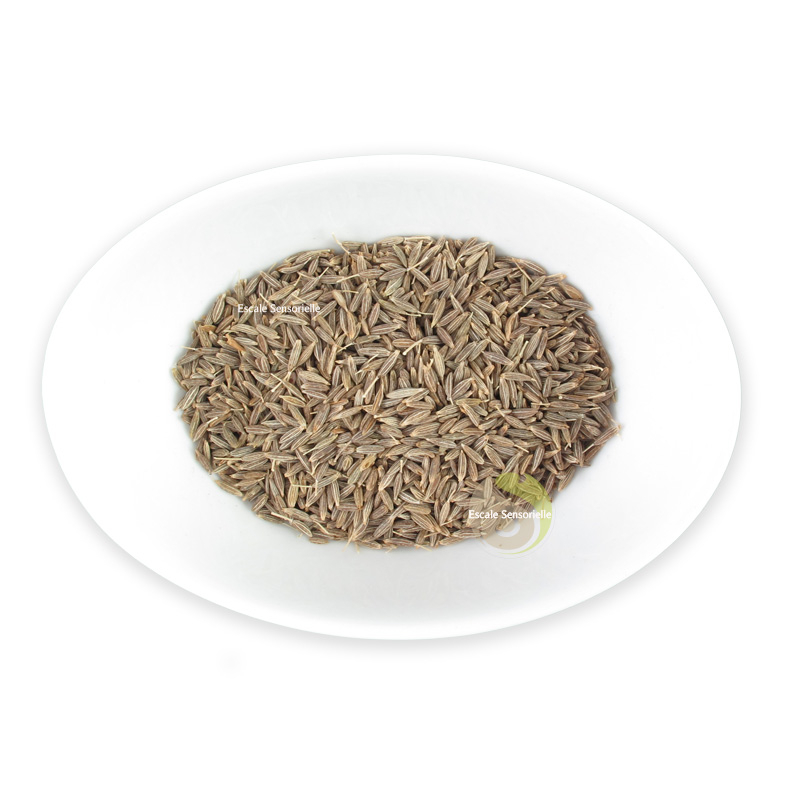 cumin graines entier épices recette cuisine vertus
