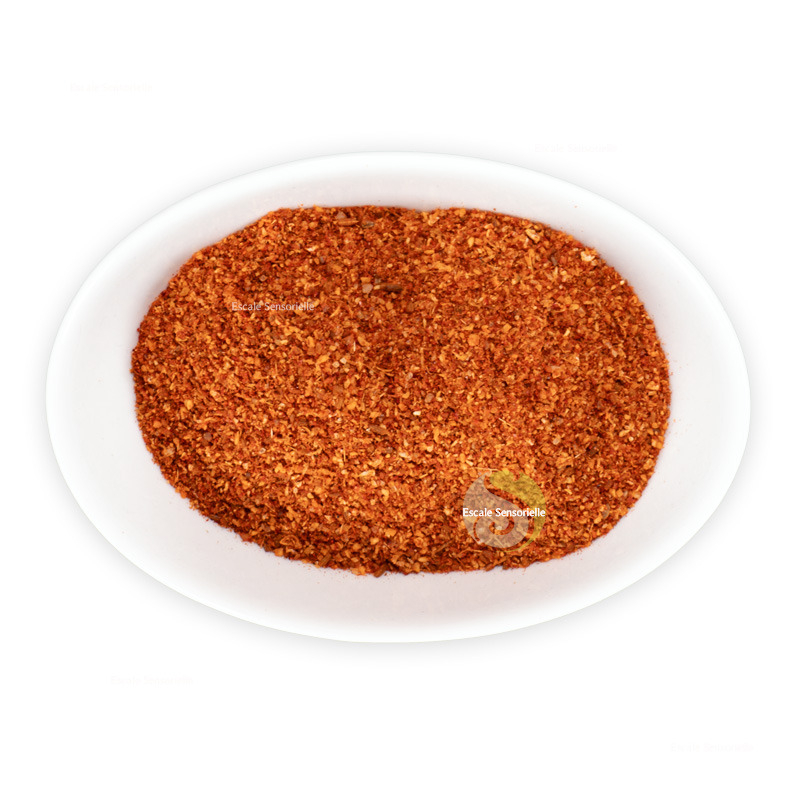 Dip mexicain mélange d'épices fortes pour sauces apéritives