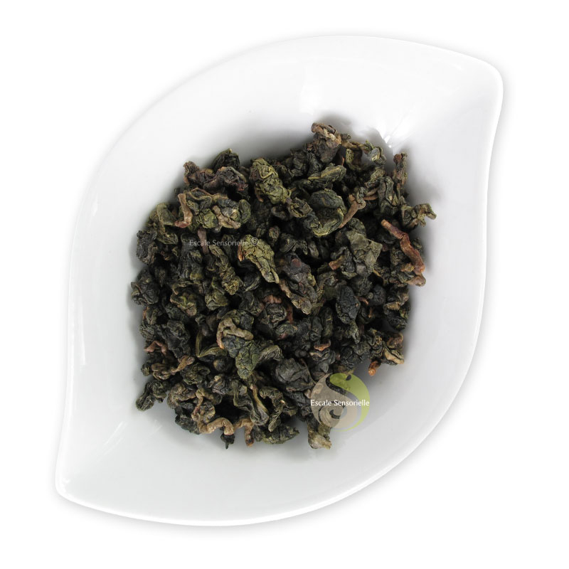 Oolong jade dong ding wulong formosa