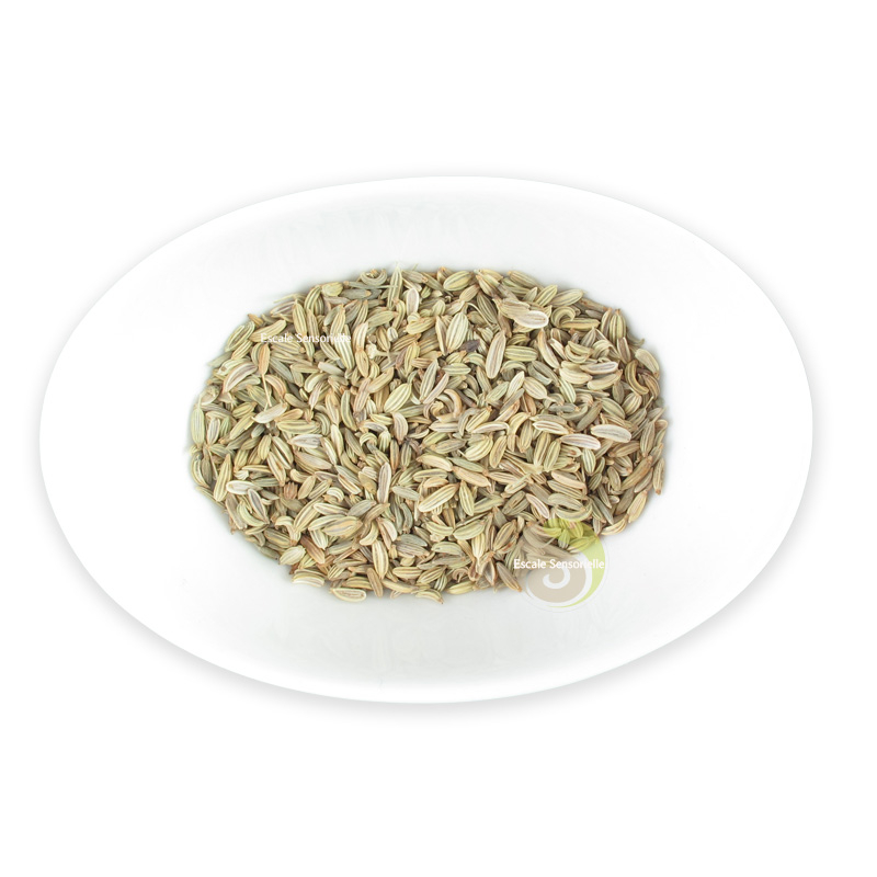 Fenouil entier bienfaits les recettes faciles et utilisation