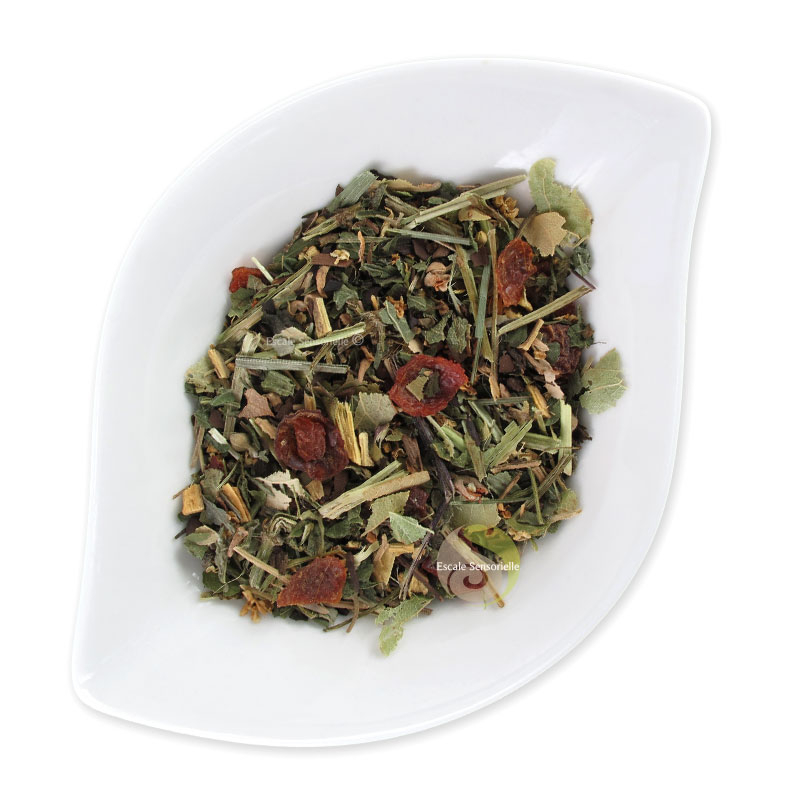 Minceur détox tisane infusion thé ligne 