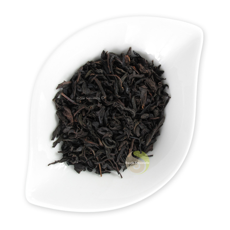Thé noir fumé Lapsang Souchong