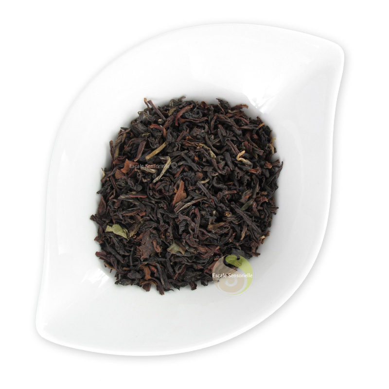 Thé noir Darjeeling Margaret's Hope FTGFOP1