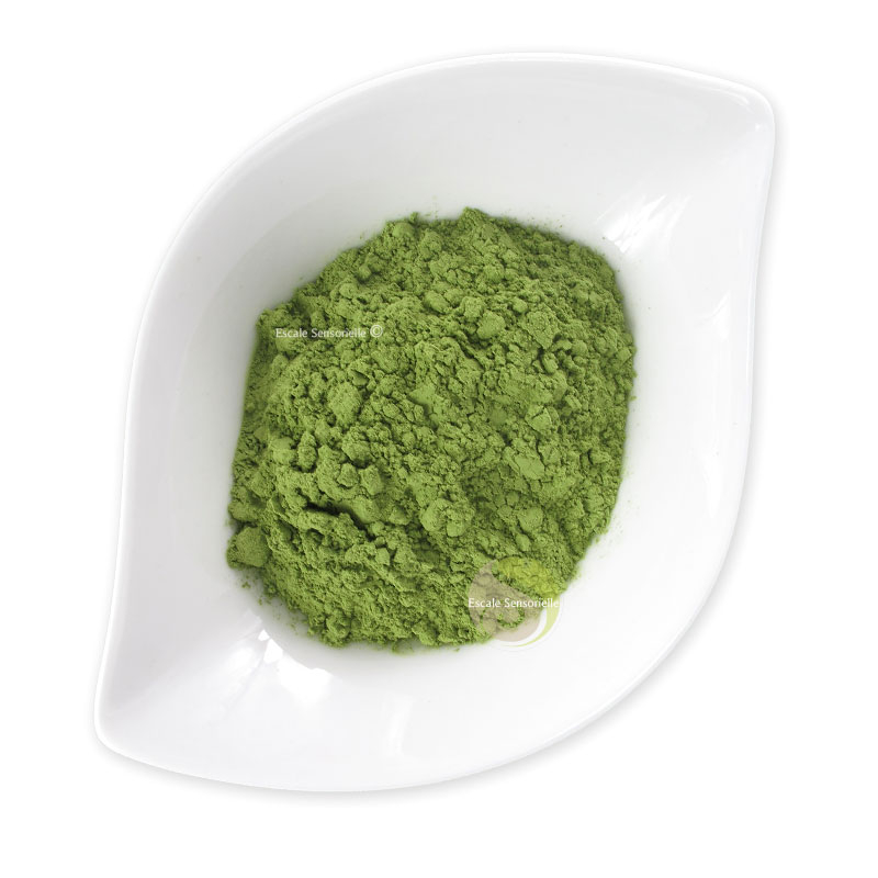 Thé matcha japonais bio pour cérémonie du thé Chanoyu