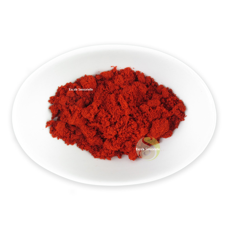 Paprika épices utilisation recette préparation cuisine conseils 