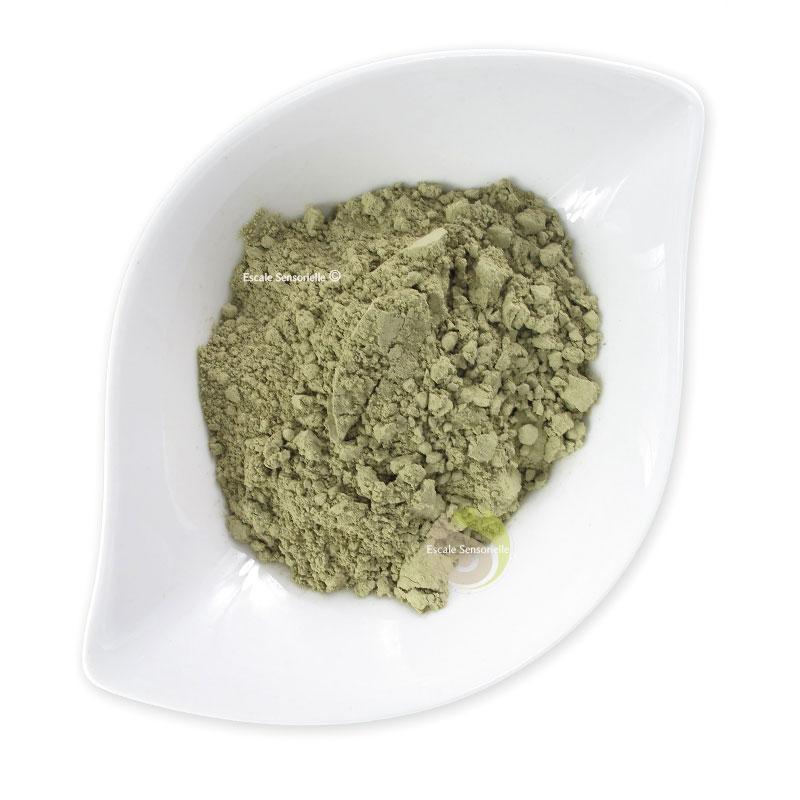 Thé matcha pâtissier pour gâteau, dessert ou plat japonais