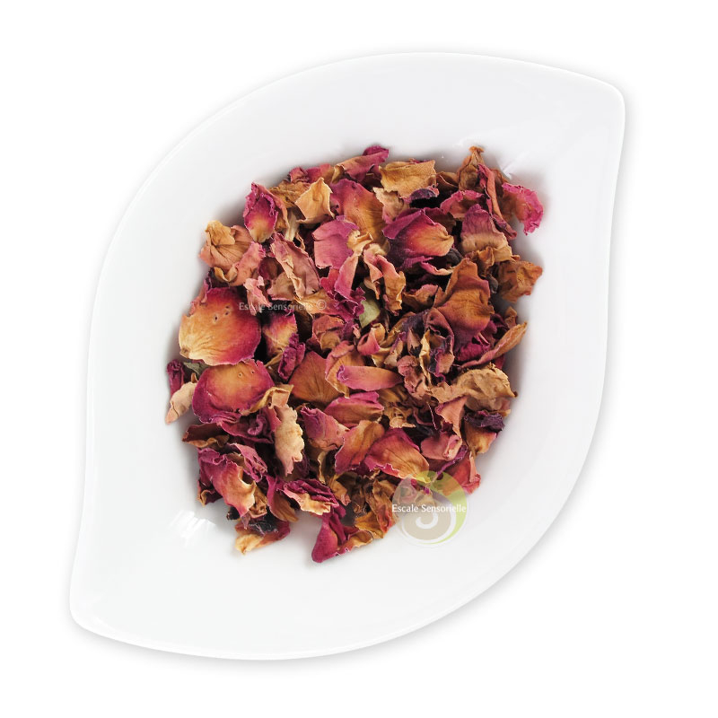 Pétales de boutons de rose rouge infusion décoction soin peaux