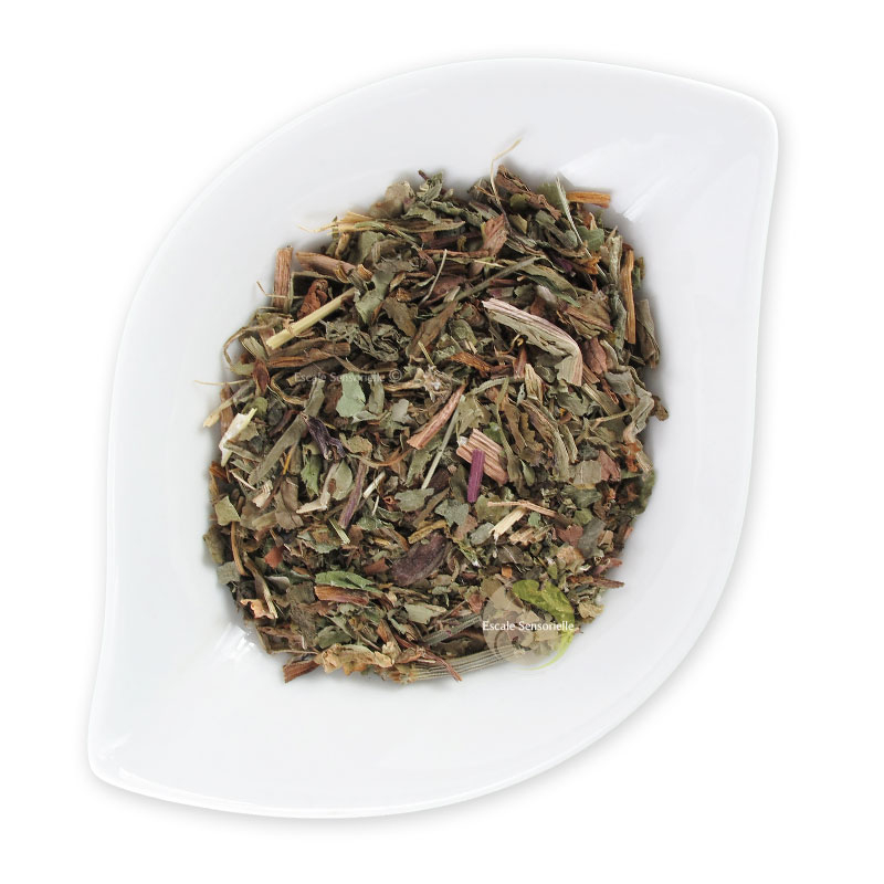 Pissenlit tisane infusion bienfaits vertus nettoyer éliminer