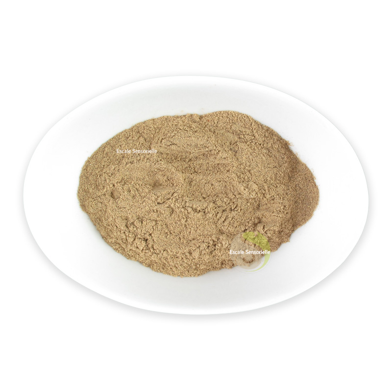 Réglisse poudre épices recette bienfaits vertus conseils préparation