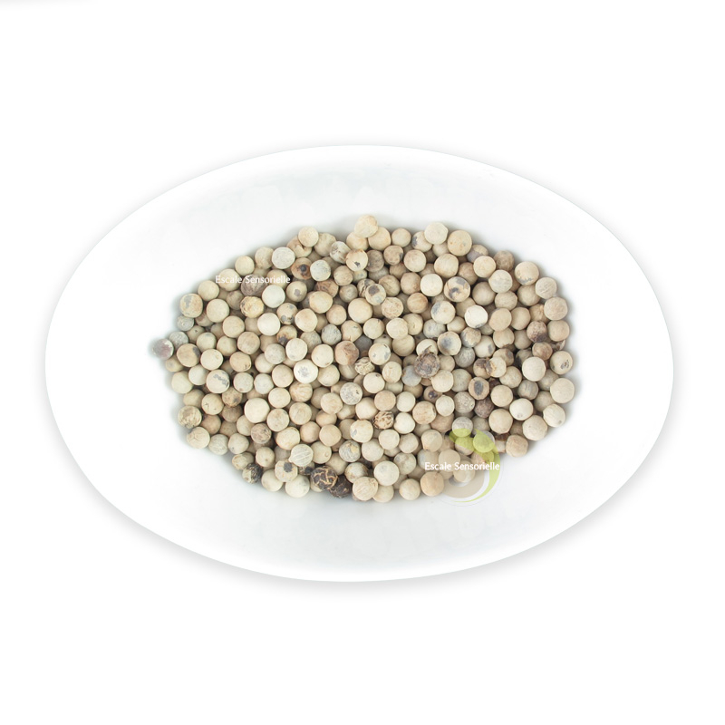 Poivre blanc de Sarawak de Bornéo saveurs boisés, fruités et notes de réglisse