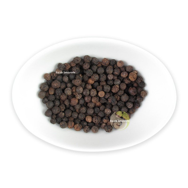 Poivre noir Sarawak de Malaisie saveur boisée et fruitée