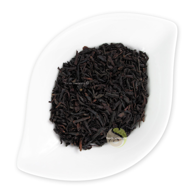 Thé noir fruitée terre inconnue