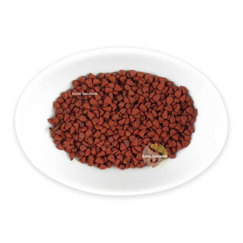Urucum roucou rocou graines bronzage bienfaits provitamine A