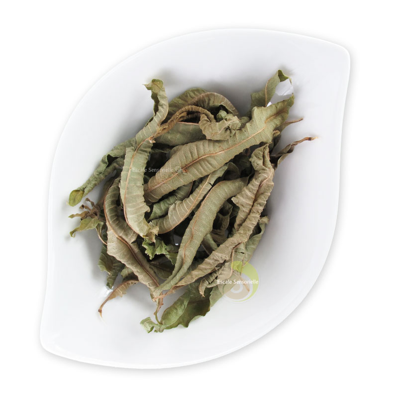 Soulager digestion difficile verveine citronnée biologique