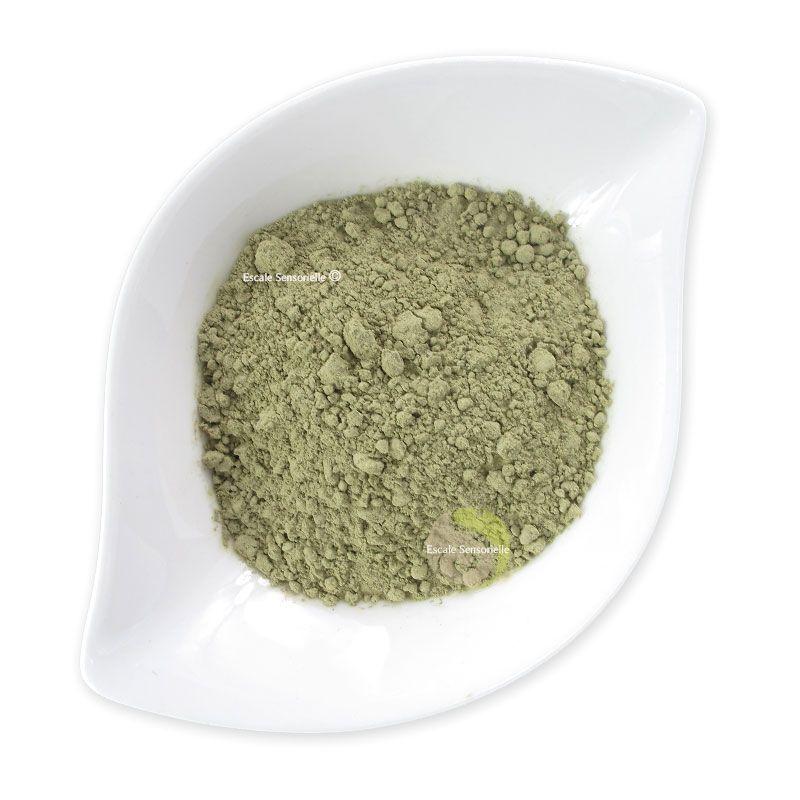 Matcha bio organic patissier cuisine poudre thé vert - Escale Sensorielle