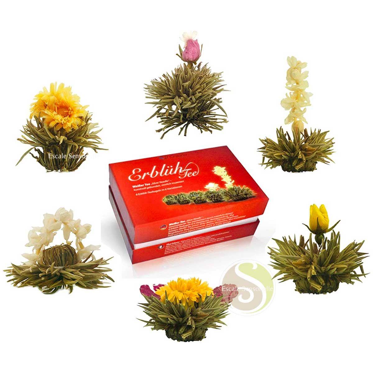 Set fleurs de thé et théière 500 ml borosilicate Creano - Escale Sensorielle
