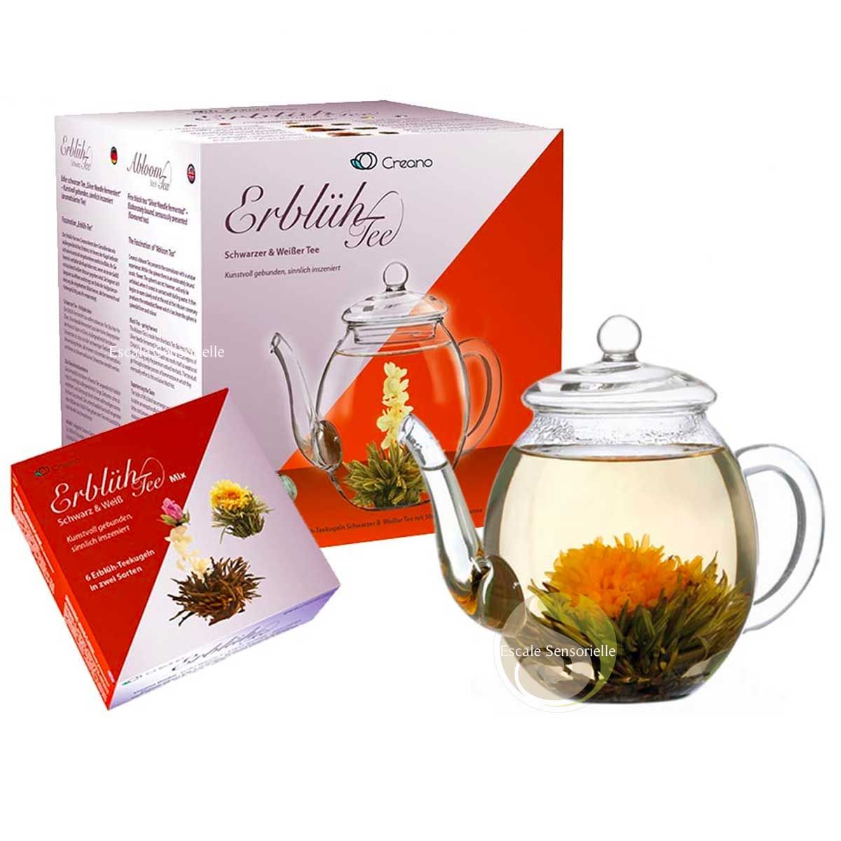 Creano Set cadeau de fleurs de thé dans une boîte à thé en bois, 12 fleurs  de thé dans 6 sortes de thé blanc, cadeau pour femme, mère, amateur de thé