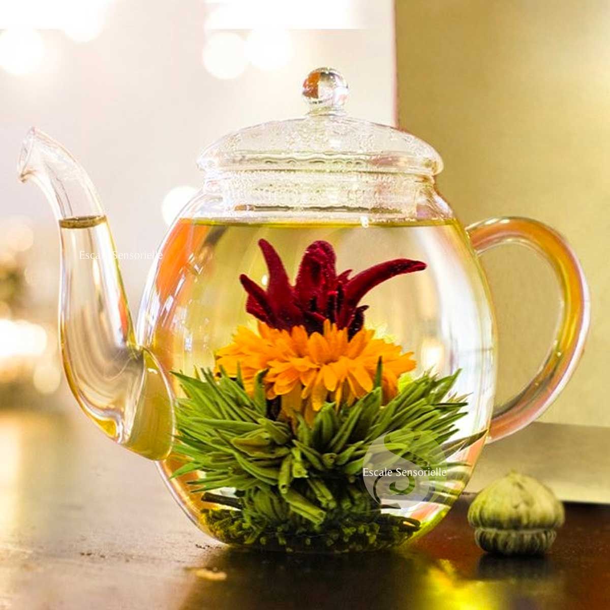 Coffret fleurs de thé Creano, thé noir/thé blanc