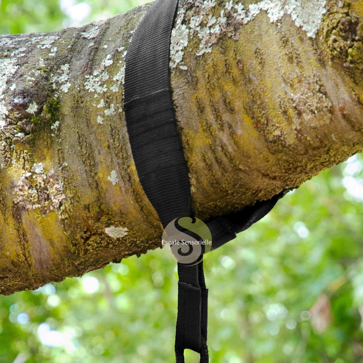 Kit fixation pour chaise hamac suspension arbre TreeMount Black La