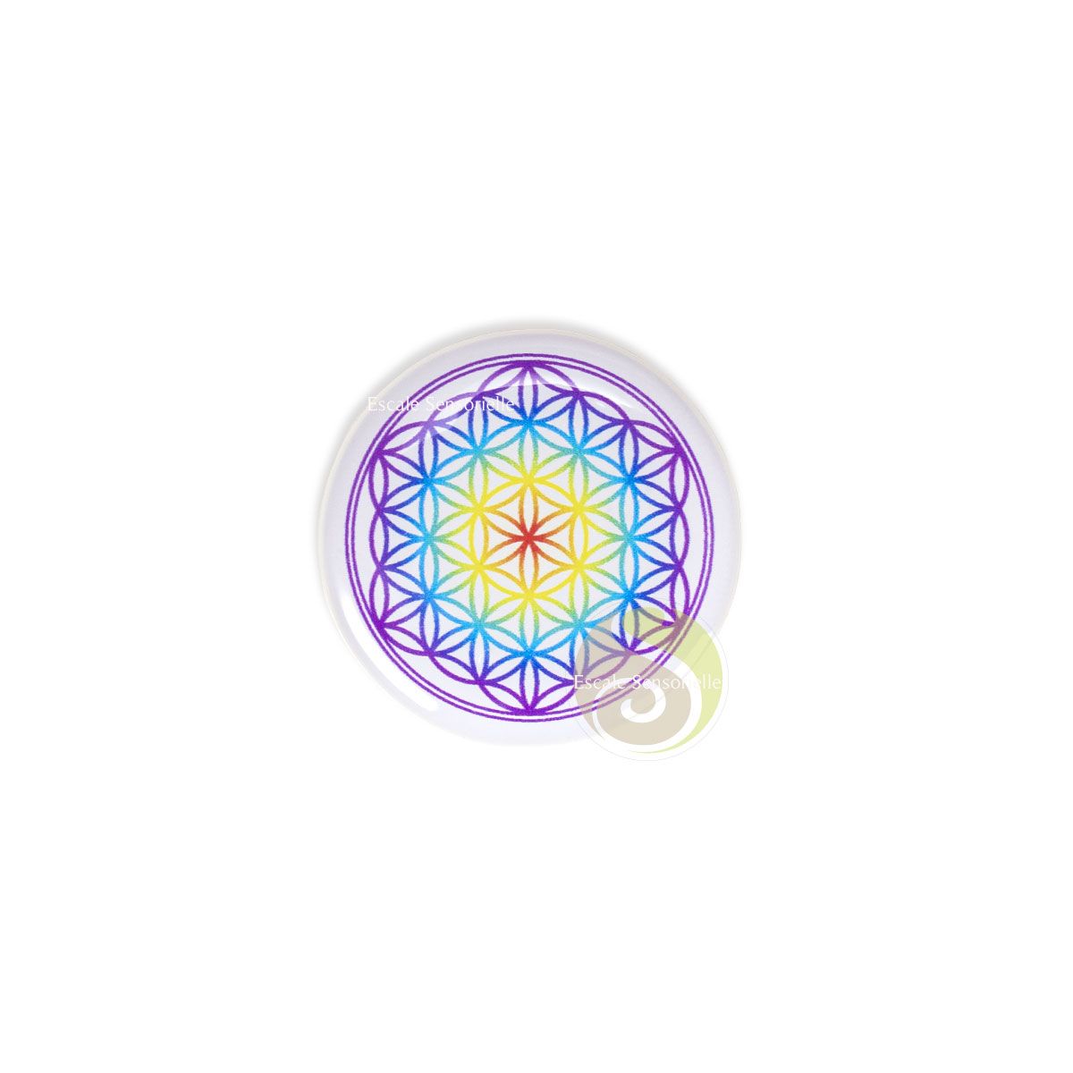 Symbole fleur de vie autocollant 3D multicolore sticker géométrie sacrée -  Escale Sensorielle