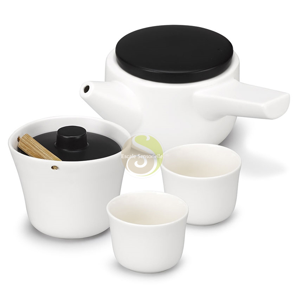 Kit de dégustation du thé testeur infusion