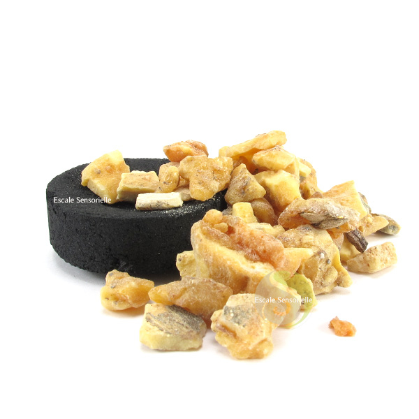 Benjoin de Siam encens qualité pur grains naturel