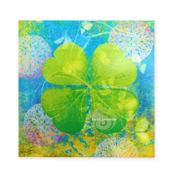 Carte postal porte bonheur trèfle 4 feuilles