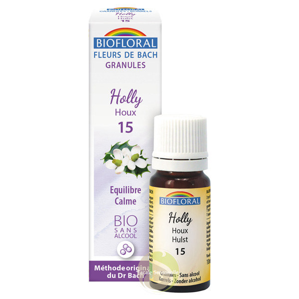 Holly fleur de Bach Houx calme équilibre harmonie