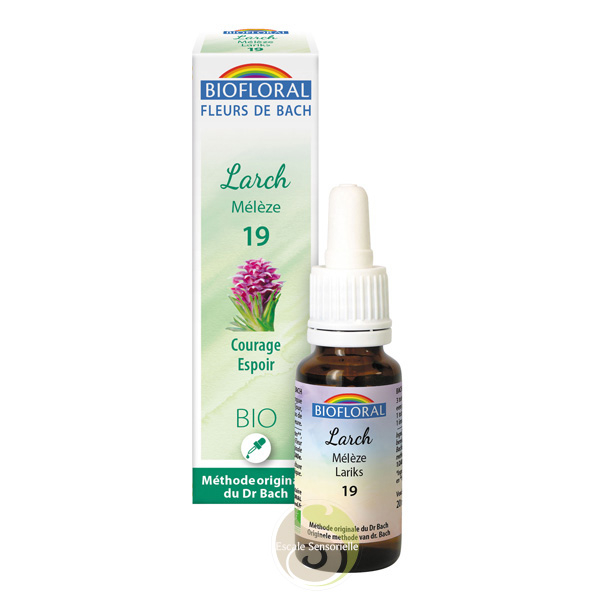 Mélèze Larch fleur de bach bio utilisation courage espoir
