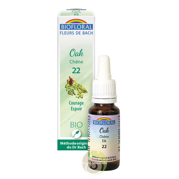 Manque de courage fleur de Bach oak chène Bio