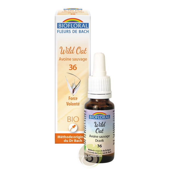 Avoine sauvage, wild oat fleur de Bach Bio 36