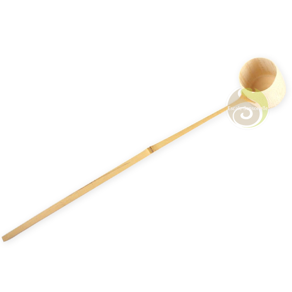 Hishaku louche cérémonie thé japonais matcha