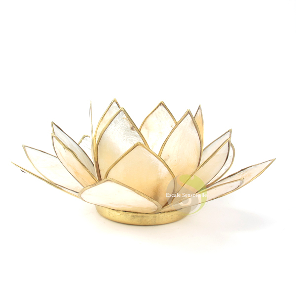 Lotus capiz ivoire et or photophore bougie mumière