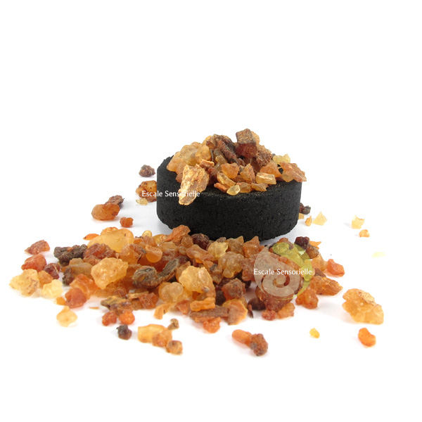 Myrrhe encens en grains utilisation pouvoirs et vertus