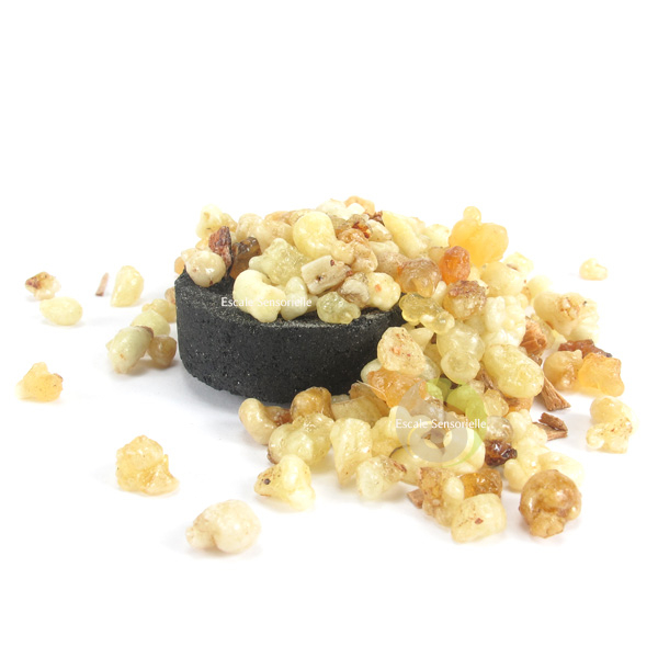 Bois de santal encens en grains naturel vertus utilisation bienfaits