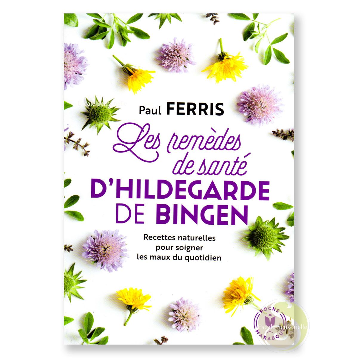 Les remèdes de santé d'Hildegarde de Bingen Paul Ferris